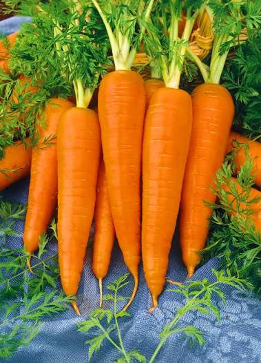 Carrots 500g
