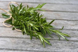 Organic rosemary bunch