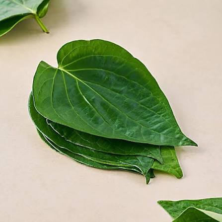Paan leaves 5pc +3 free_0