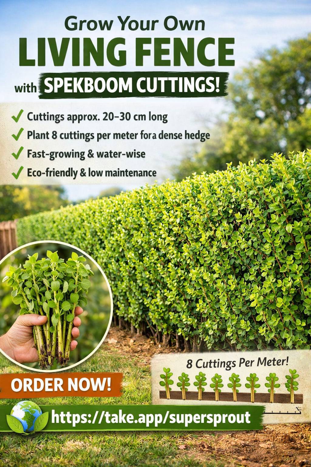 Spekboom 20-30cm cuttings x 100