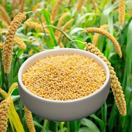 Millet 1kg_0