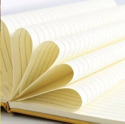 A5  Strap Notebook 001