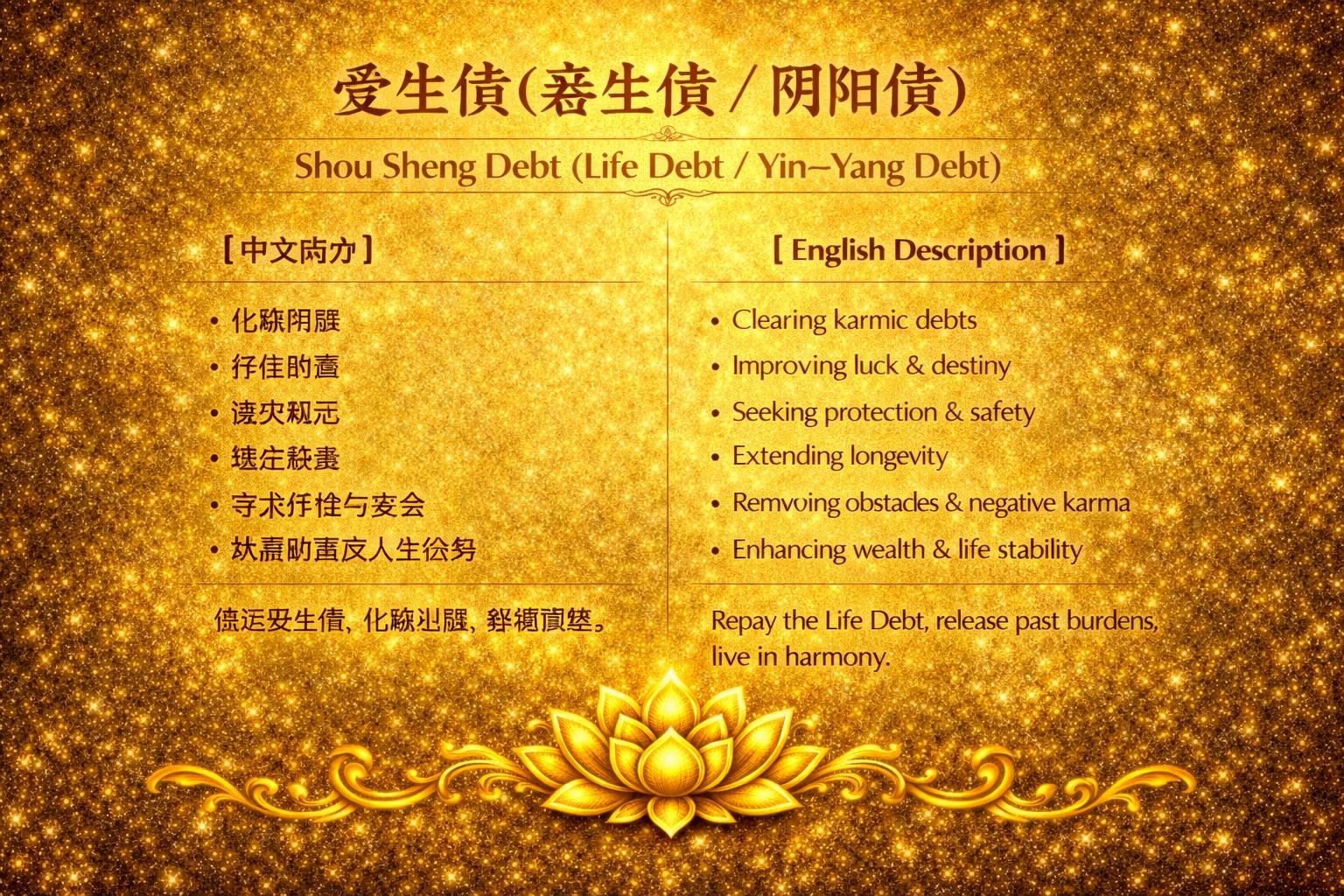 受生债（寿生债 / 阴阳债）/ Shou Sheng Debt (Life Debt / Yin–Yang Debt)_0
