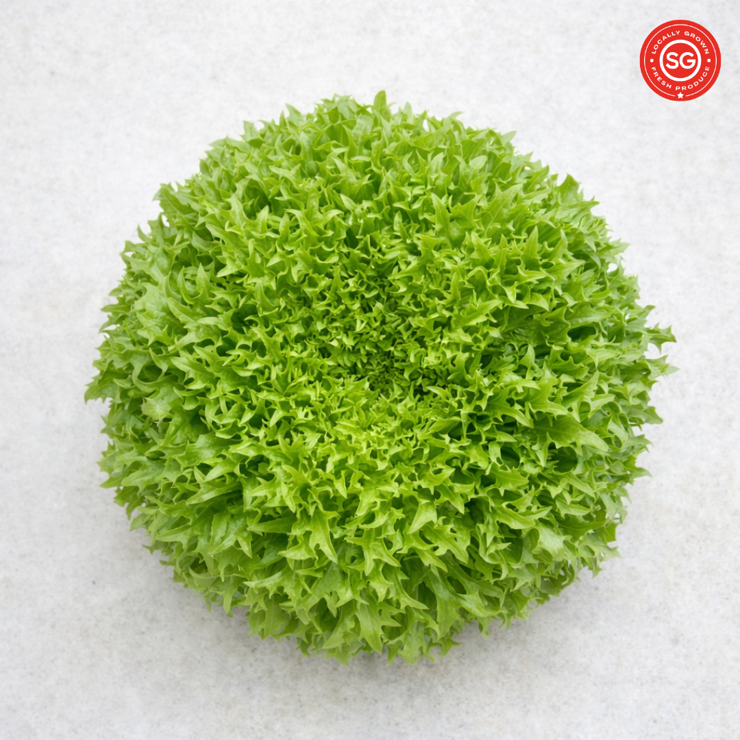 Excentric Green Crisp Lettuce (120g)