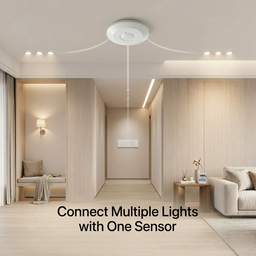 Microwave Motion Sensor