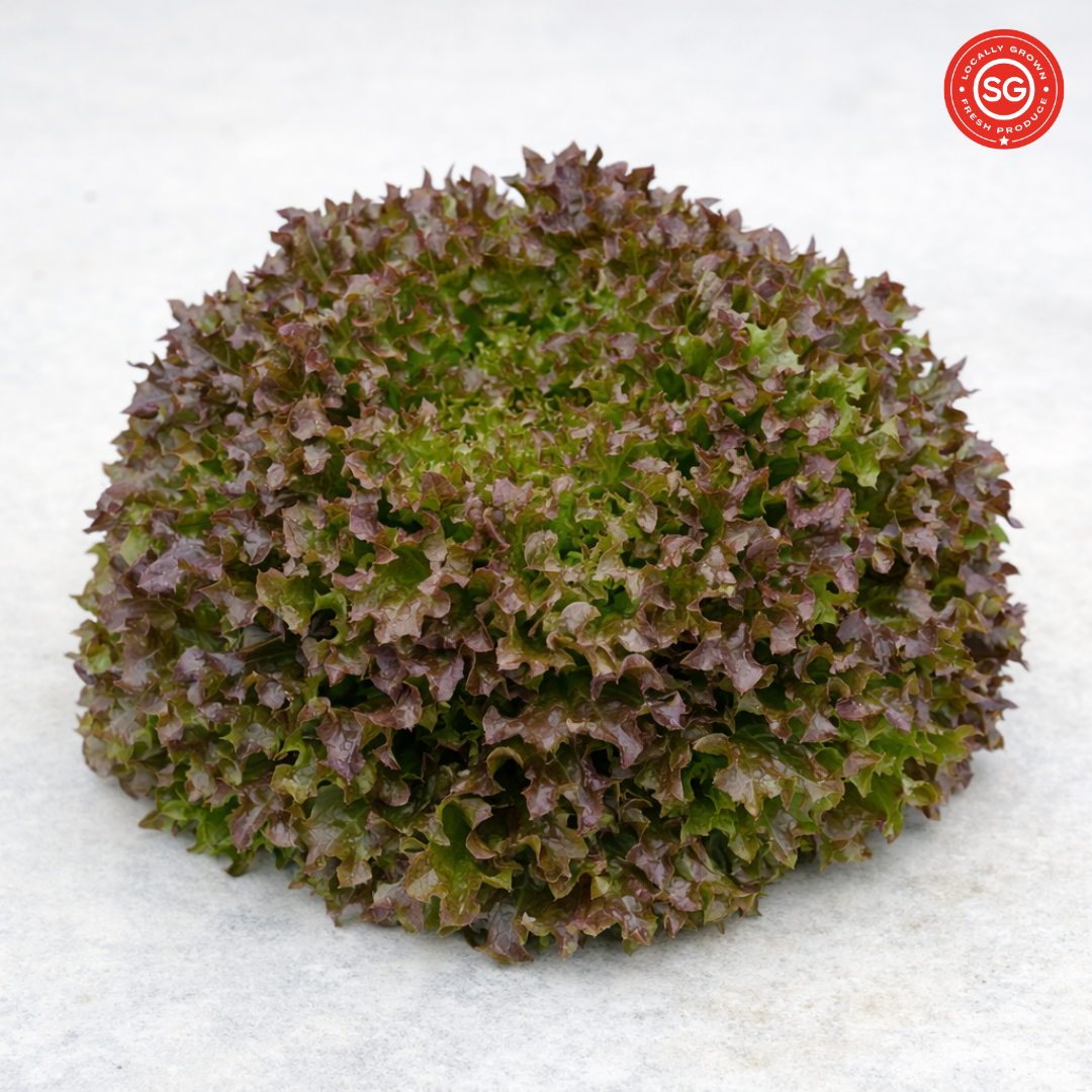 Triplex Red Crisp Lettuce (120g)_0