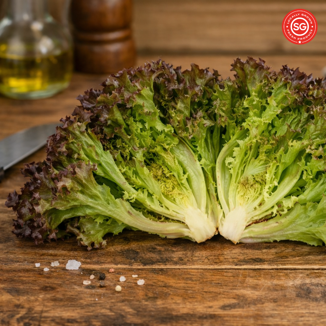 Red Lalique Lettuce (120g)_0