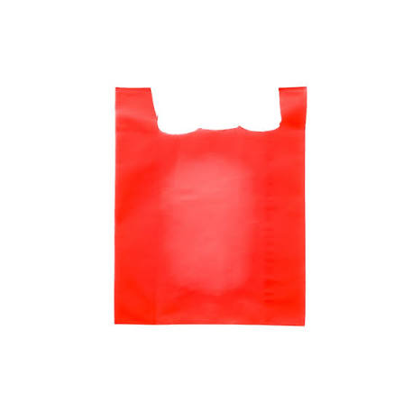 Non woven bags V25
