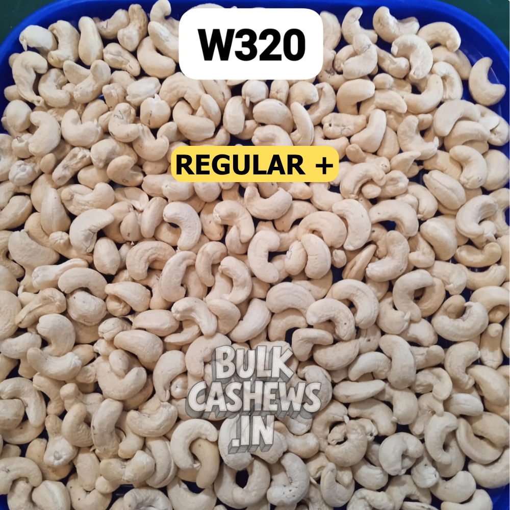 W320 (Regular Plus)_1