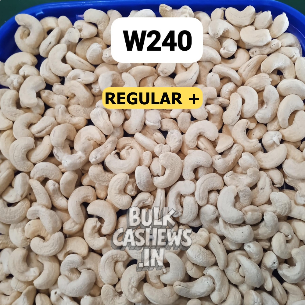 W240 (Regular Plus)_1