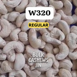 W320 (Regular)