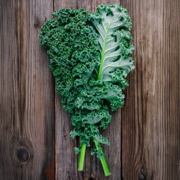 Blue Curled Kale