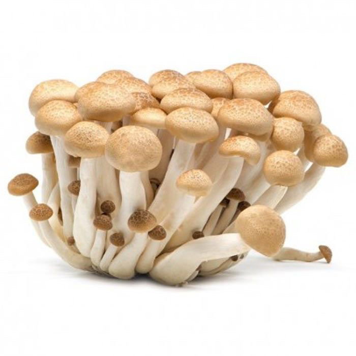 Mushroom Shimeji