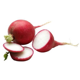 Red Radish 