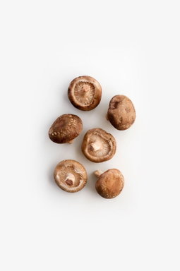Mushroom Portobello