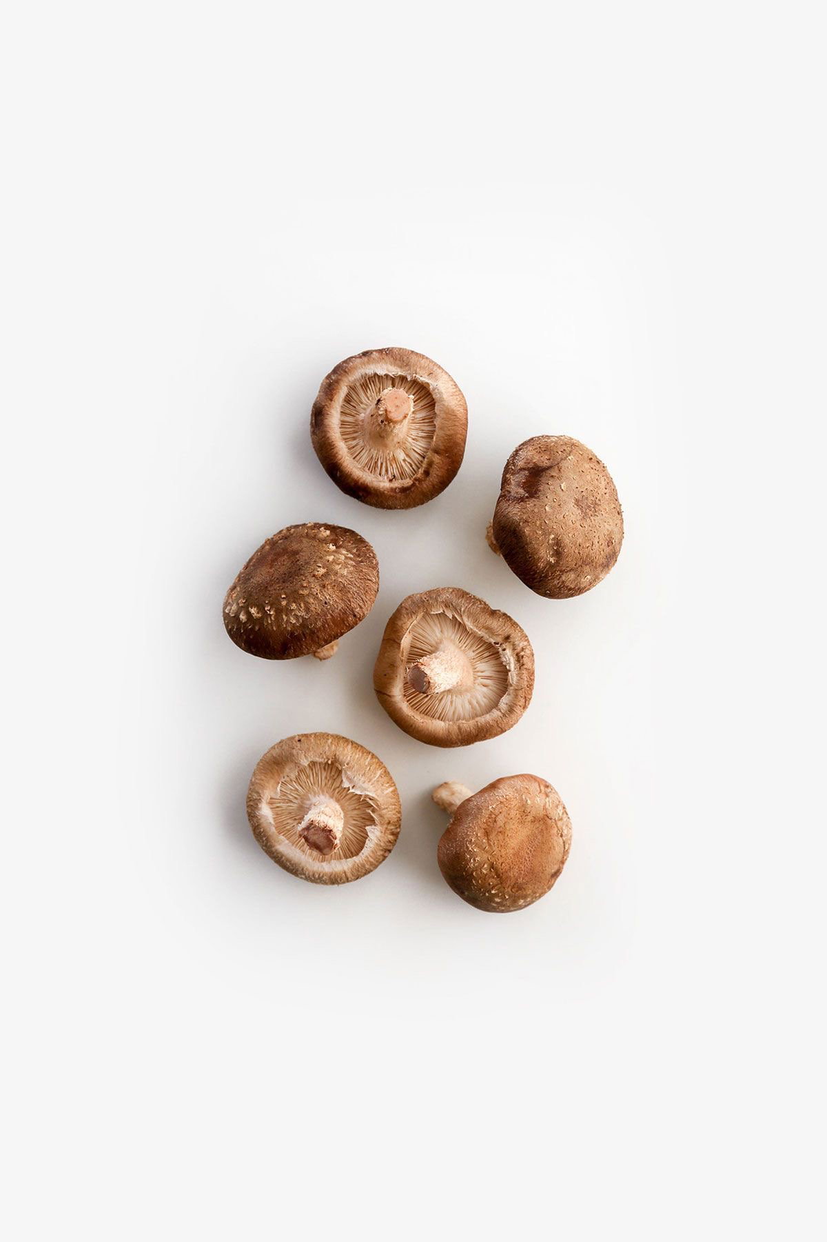 Mushroom Portobello