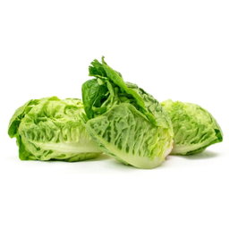 Lettuce Little Gems 