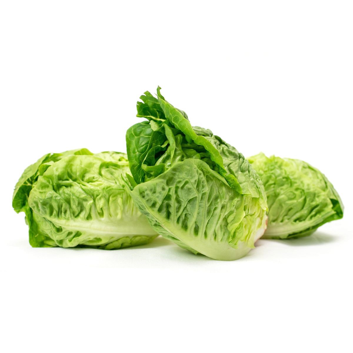 Lettuce Little Gems 