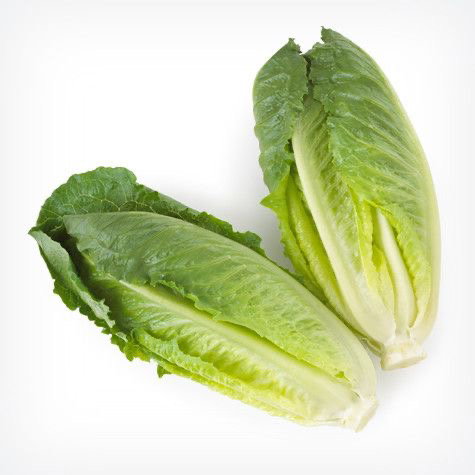 Lettuce Romaine 