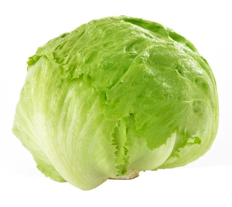 Lettuce Iceberg _0