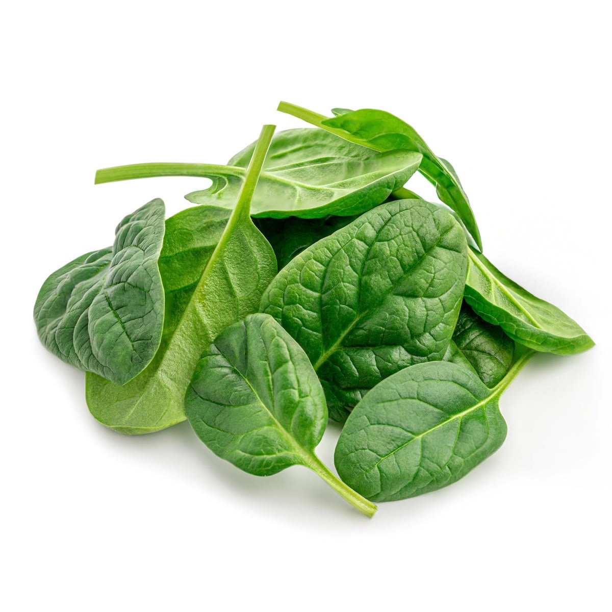 Baby Spinach_0