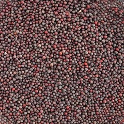 Mustard seeds (rai) 250g
