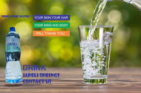 Japeli water 24*500ml 