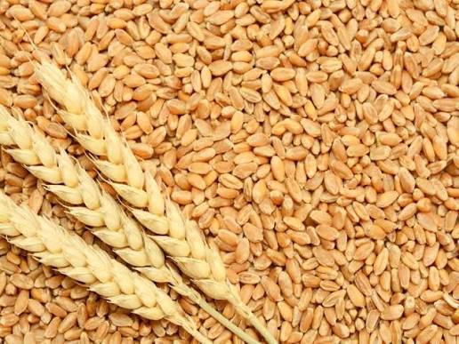 Whole wheat 500g_0