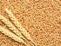 Whole wheat 1kg