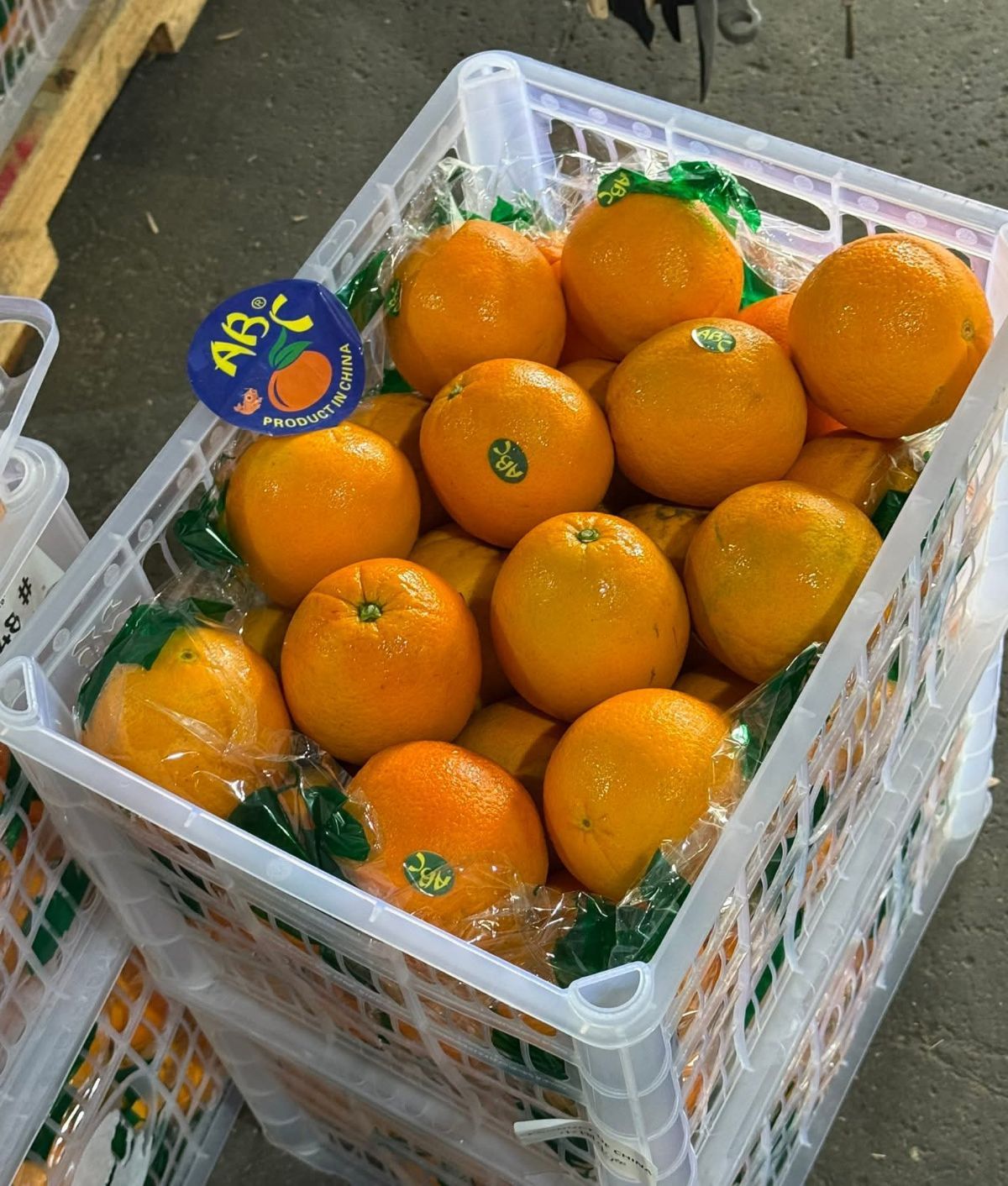 Lane Late Navel Oranges (By the Box) _1
