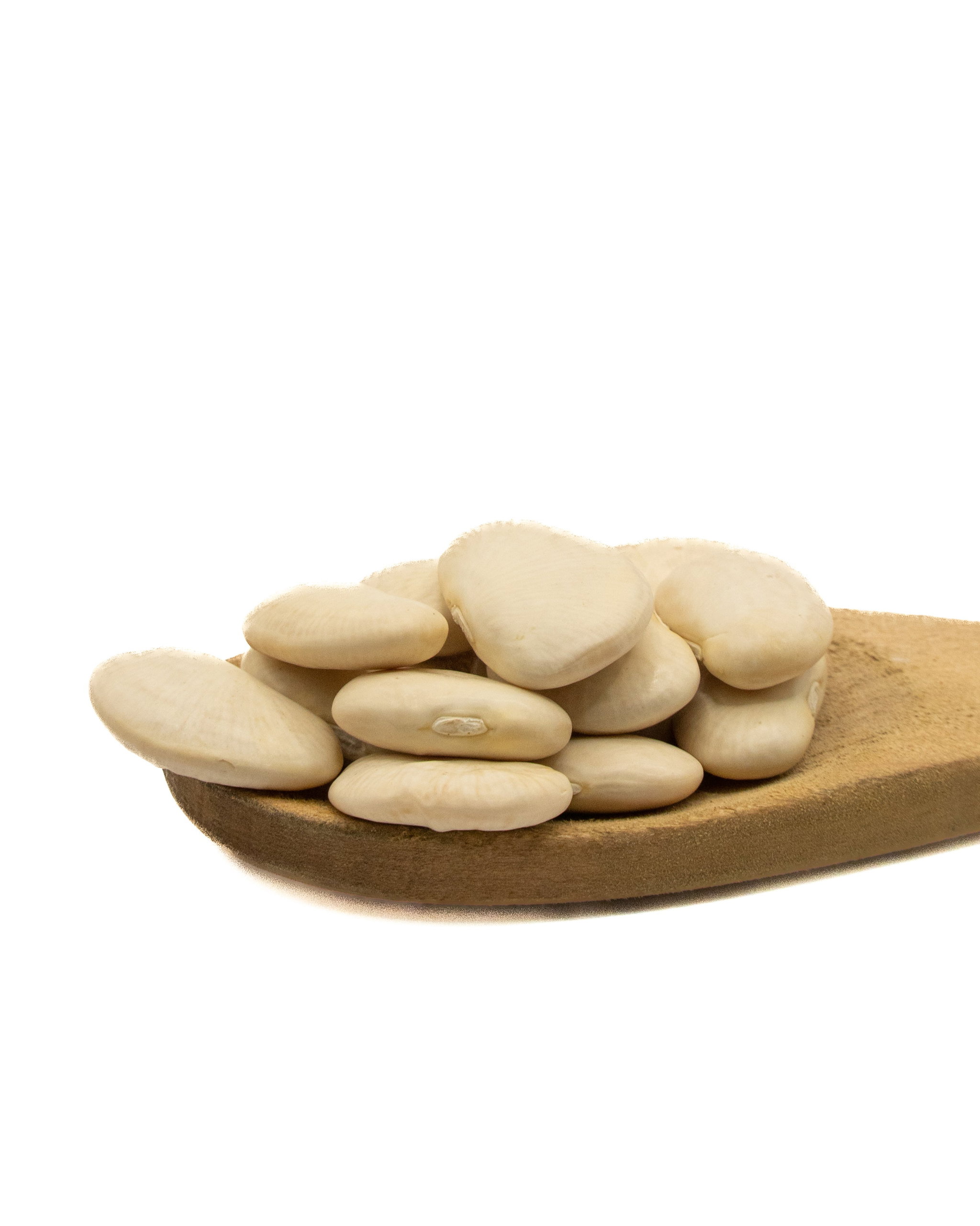 فاصوليا بيضاء برّية (1 كجم) / Wild White Beans (1kg)_0