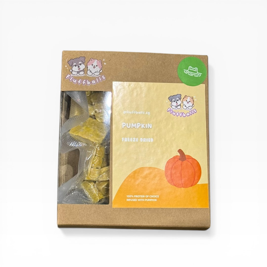 Freeze Dried Pumpkin Frog
