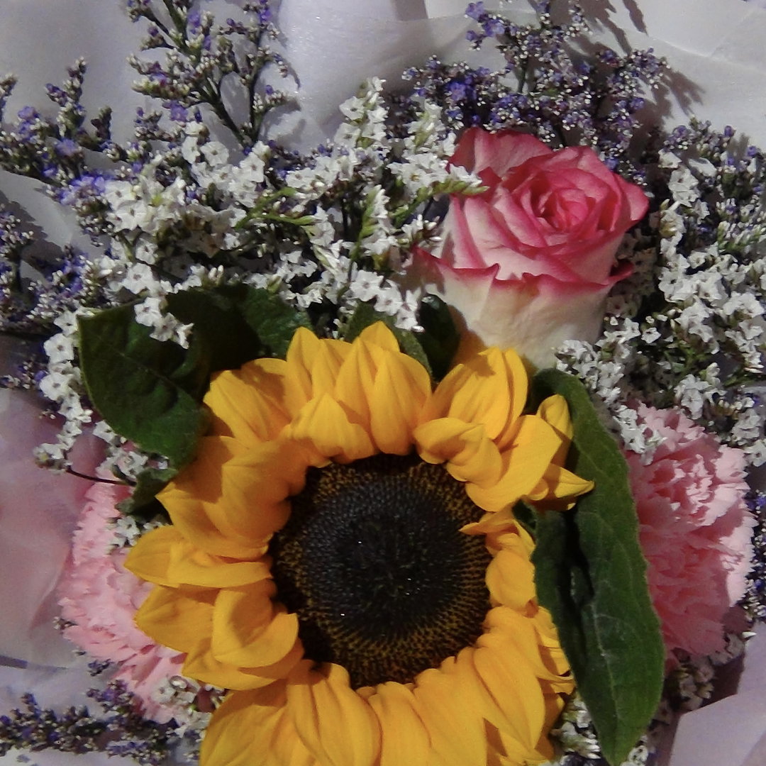 sunflowers 
