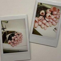polaroid photo