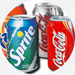 NOS BOISSONS CANNETTES 