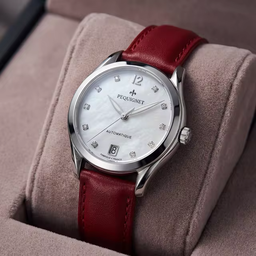 Montre de Luxe