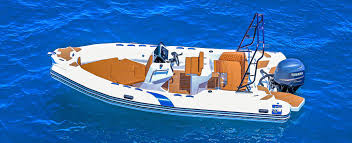 Private speed boat Orange bay_3
