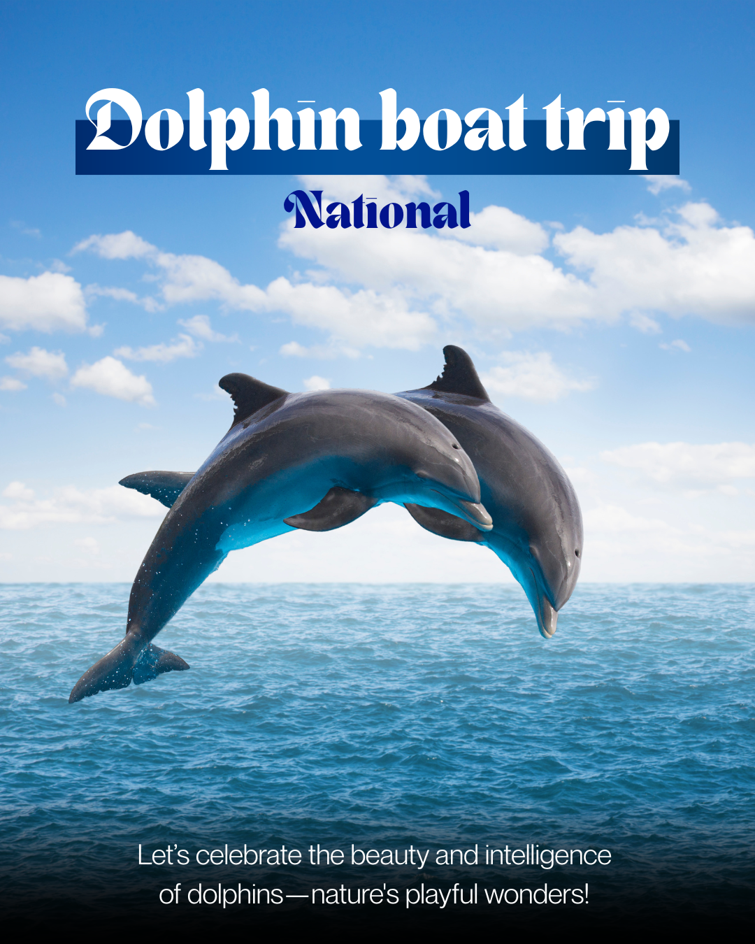 Dolphin boat trip_0