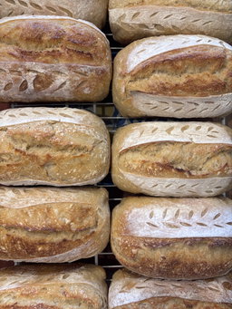 Pan de Masa Madre 