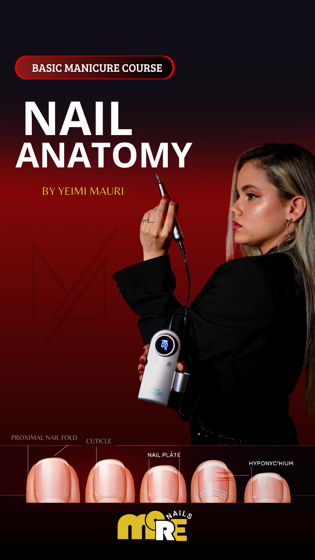 Nail Anatomy Basic Course 