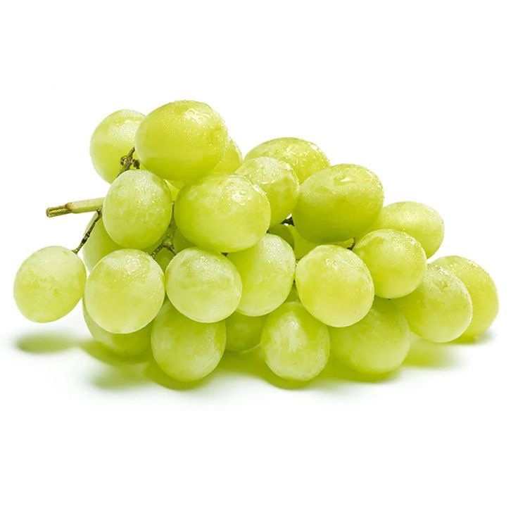 Green  Seedless Grapes _0