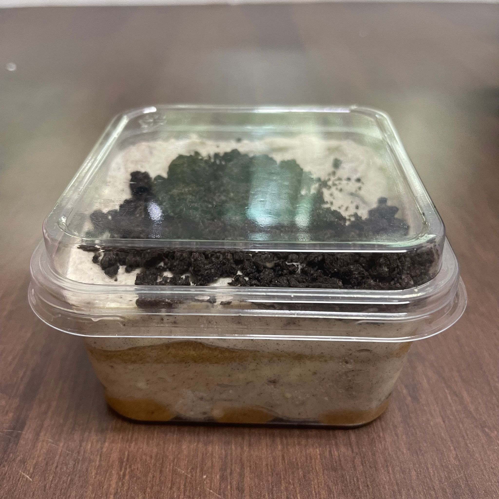 Tiramisu (Classic, Biscoff, Oreo, Banana)_3