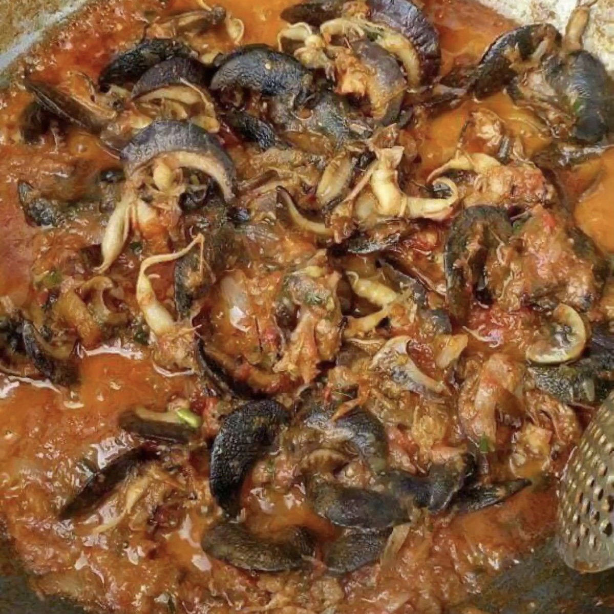 SAUTÉ D'ESCARGOT_0