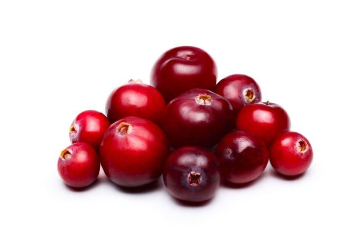 Fresh Cranberry