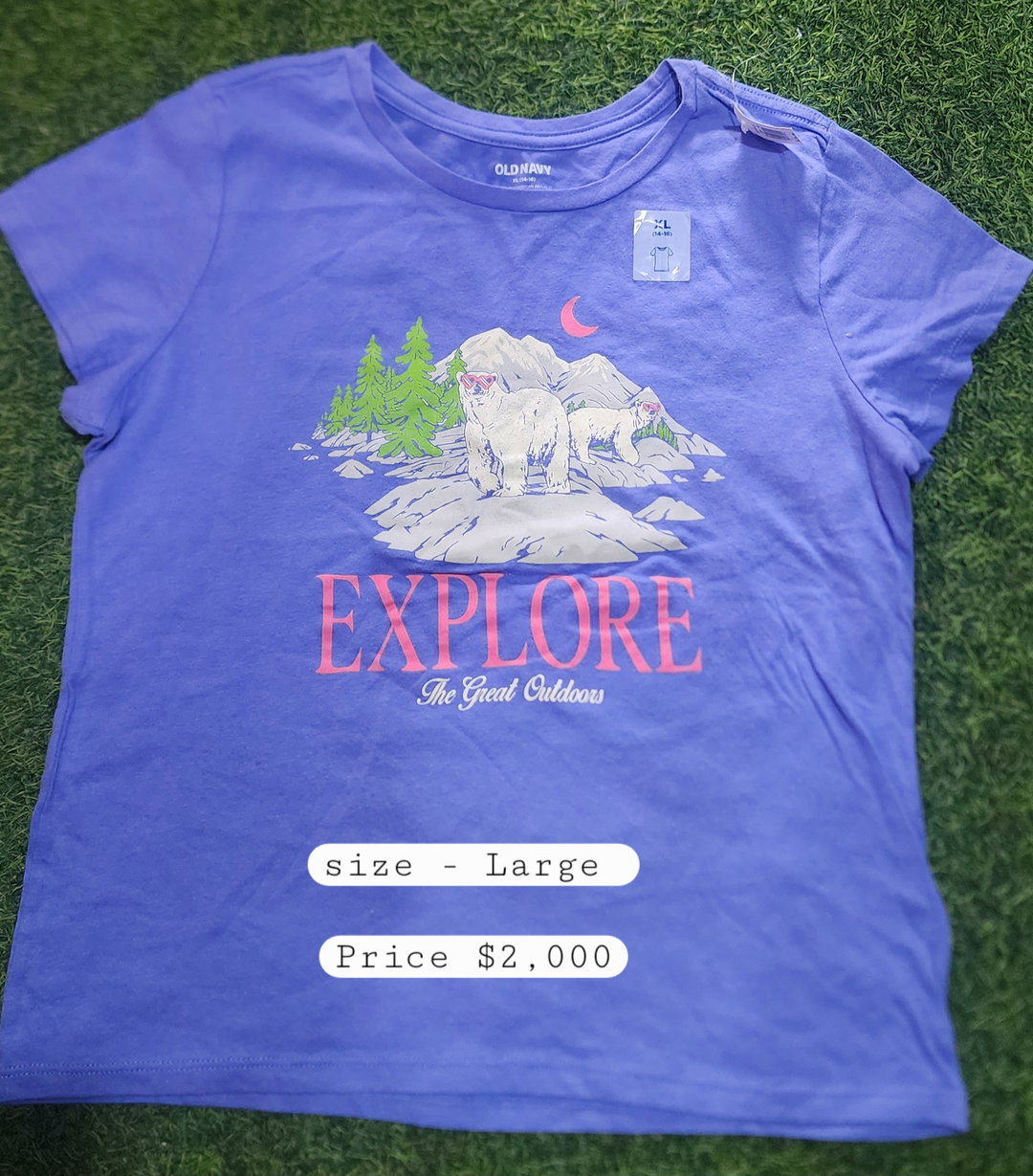 Children palace girl t shirt size 10-12