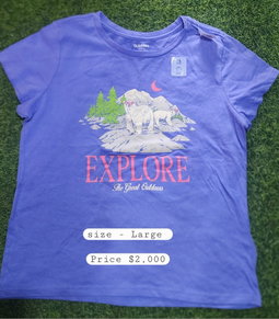 Children palace girl t shirt size 10-12