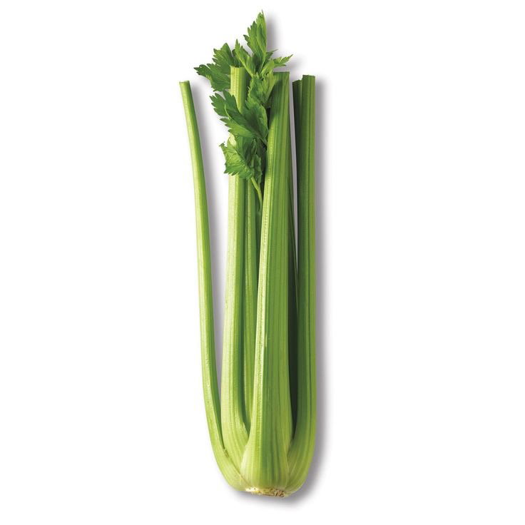 Celery