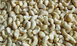 Plain cashew nuts 250g