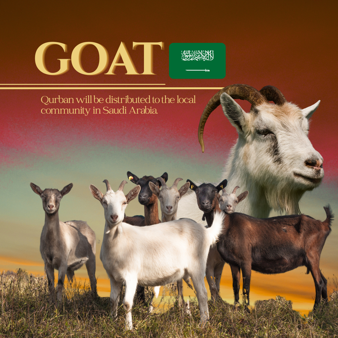 GOAT (MAKKAH)