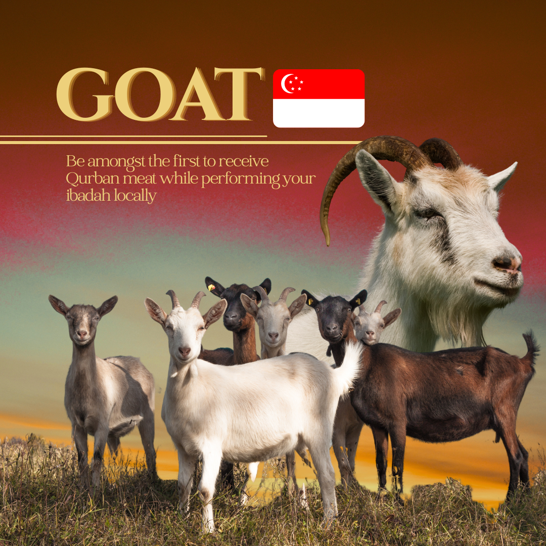 GOAT (SINGAPORE)